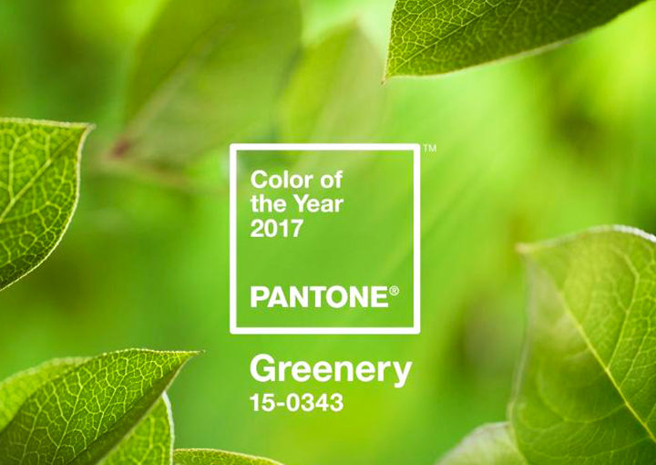 Pantone Releases the color of 2017: <br>Greenery